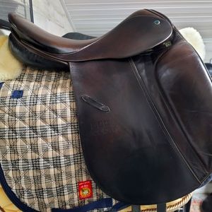 17.5 Stubben Tristan